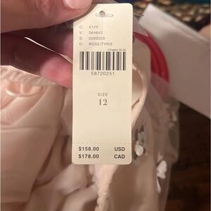 Anthropology Tulle Maxi skirt